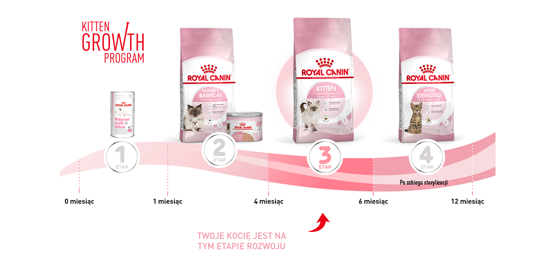 ROYAL CANIN Kitten 10 kg